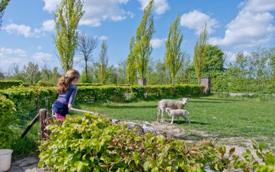 We zijn begonnen met de bouw!