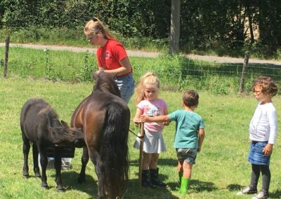 Pony's