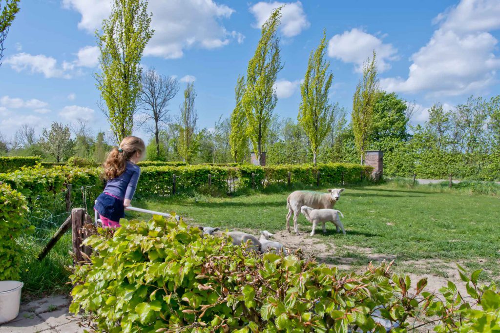 Op vakantie in Zeeland